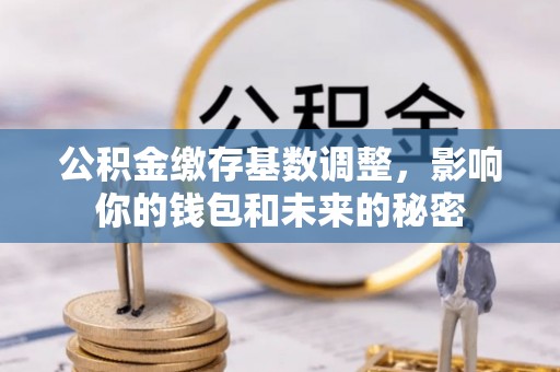 巴楚公积金缴存基数调整，影响你的钱包和未来的秘密