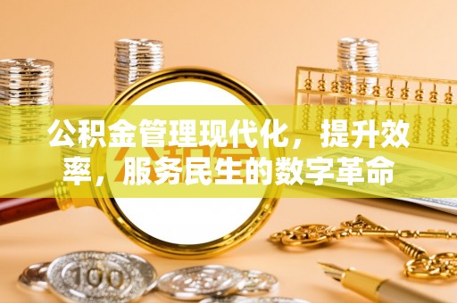 巴楚公积金管理现代化，提升效率，服务民生的数字革命