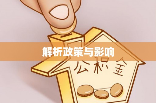 巴楚解析政策与影响