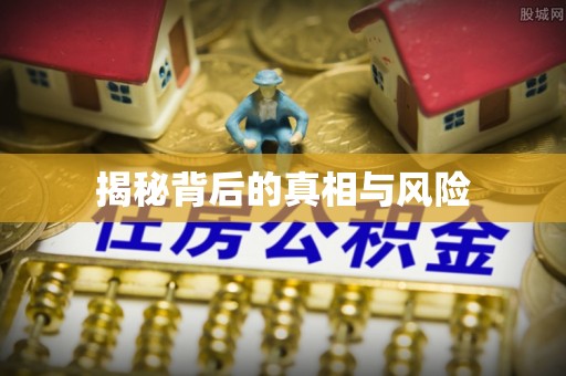 巴楚揭秘背后的真相与风险