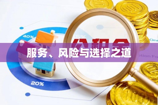 巴楚服务、风险与选择之道