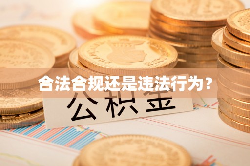 巴楚合法合规还是违法行为？