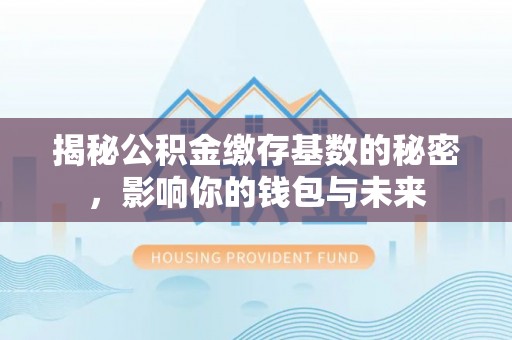 巴楚揭秘公积金缴存基数的秘密，影响你的钱包与未来