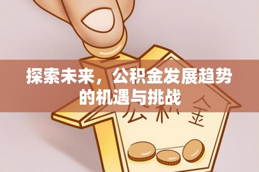 巴楚探索未来，公积金发展趋势的机遇与挑战