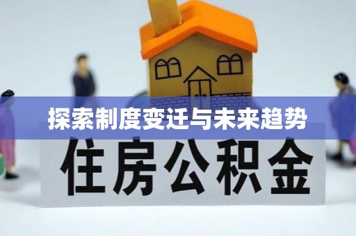巴楚探索制度变迁与未来趋势