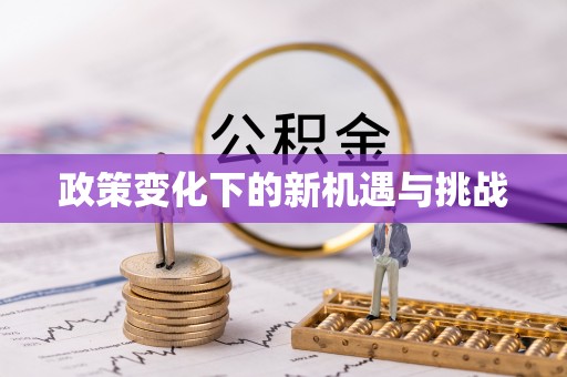 巴楚政策变化下的新机遇与挑战