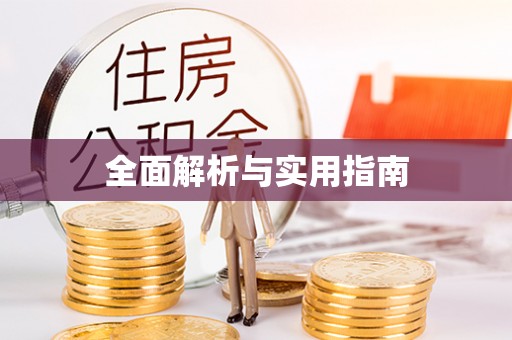 巴楚全面解析与实用指南