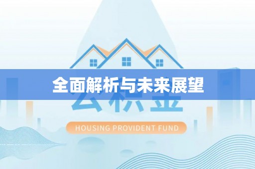 巴楚全面解析与未来展望