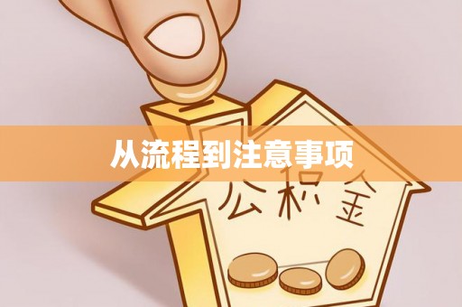 巴楚从流程到注意事项