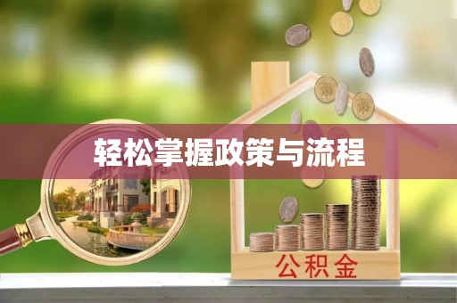 巴楚轻松掌握政策与流程