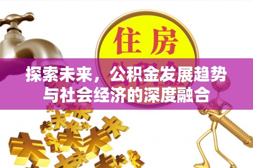 巴楚探索未来，公积金发展趋势与社会经济的深度融合