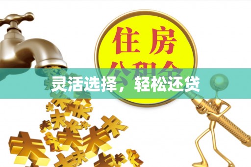 巴楚灵活选择，轻松还贷