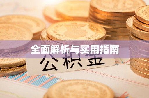 巴楚全面解析与实用指南